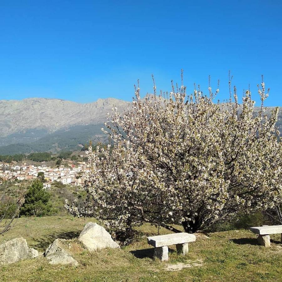 Hotel Rural Los Molinillos Ελ Αρενάλ Εξωτερικό φωτογραφία